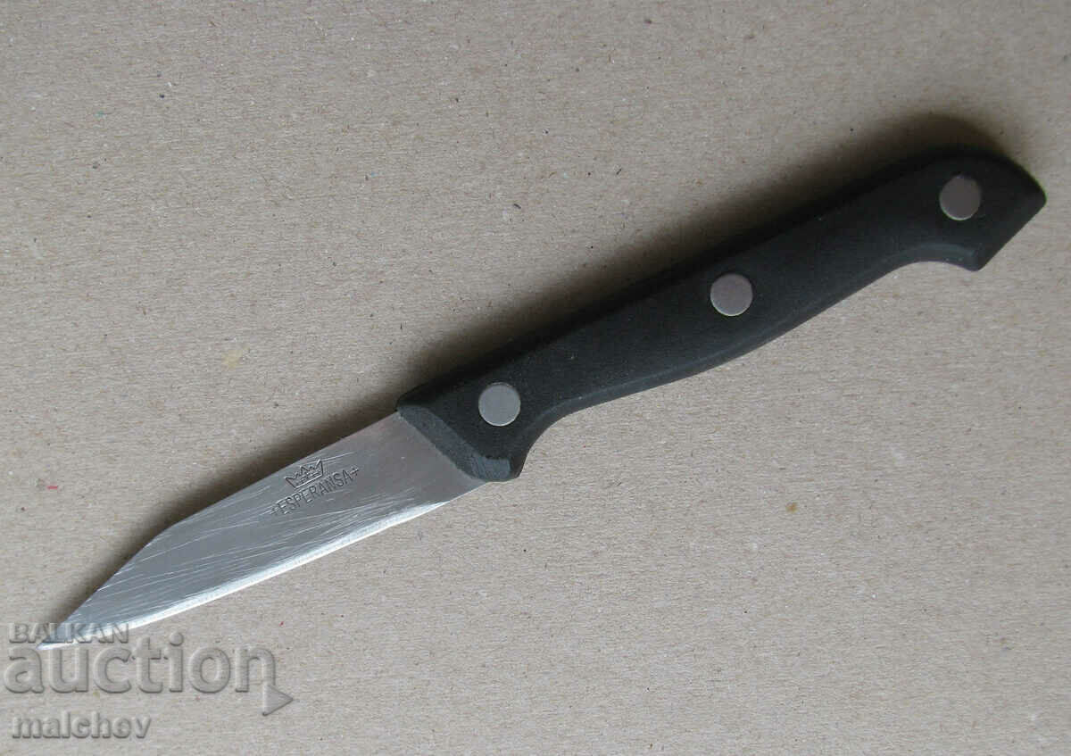 Kitchen knife Esperansa 18.5 cm stainless plastic handle