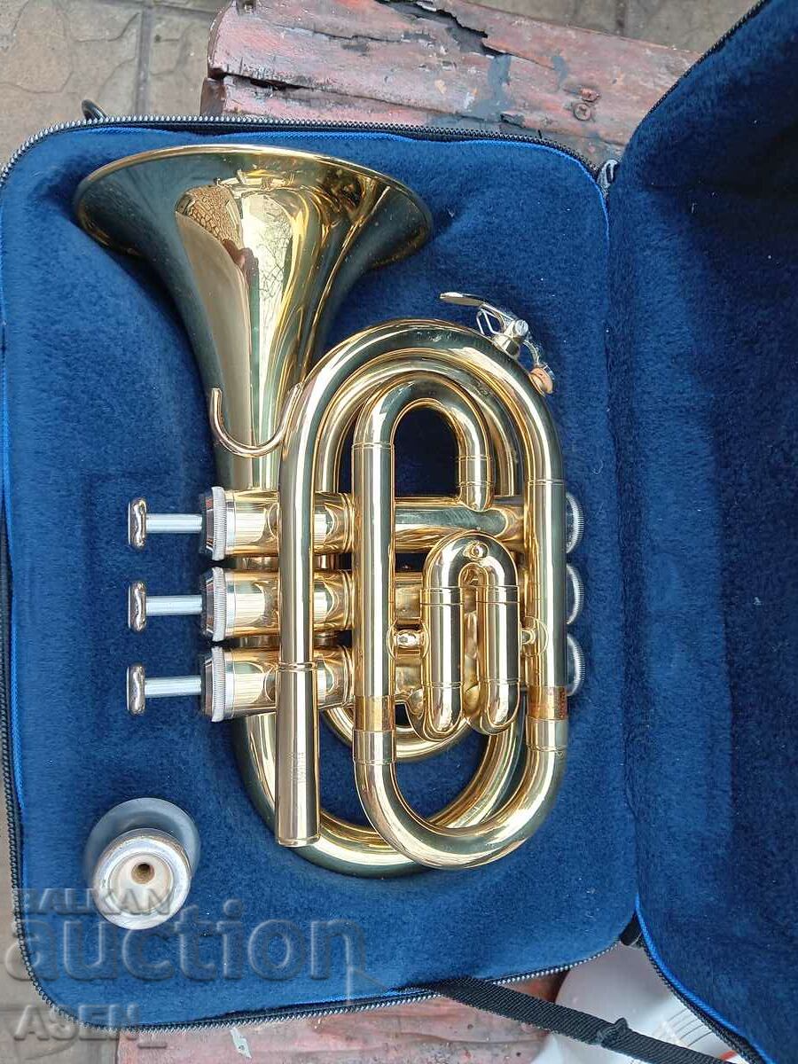 trumpet, flute cornet