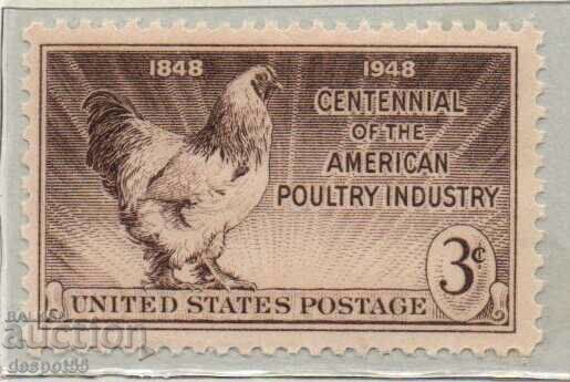 1948. USA. Poultry farming.