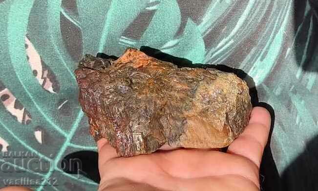 Δημοπρασία Κοράλλι, απολίθωμα Δημοπρασία Κοράλλι, απολίθωμα