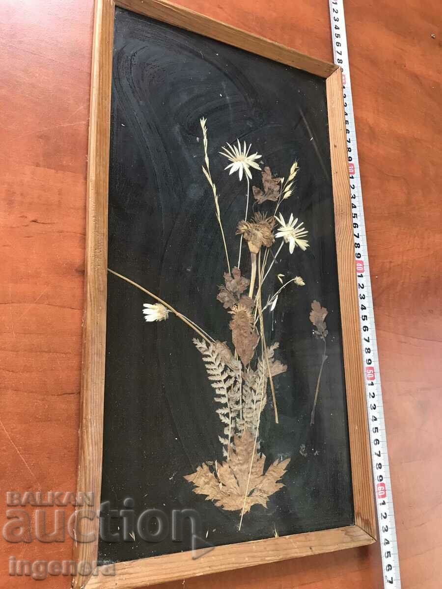 ΠΑΝΕΛ HERBARIUM ΓΥΑΛΙΝΟ ΠΛΑΙΣΙΟ ΑΠΟ ΞΗΡΑΜΕΝΑ ΛΟΥΛΟΥΔΙΑ SOCA 50 ΕΤΩΝ με τιμή 19.00 BGN | € 9.71 ΠΑΝΕΛ HERBARIUM ΓΥΑΛΙΝΟ ΠΛΑΙΣΙΟ ΑΠΟ ΞΗΡΑΜΕΝΑ ΛΟΥΛΟΥΔΙΑ SOCA 50 ΕΤΩΝ με τιμή 19.00 BGN | € 9.71