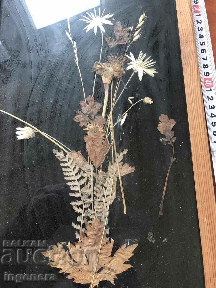 Δημοπρασία ΠΑΝΕΛ HERBARIUM ΓΥΑΛΙΝΟ ΠΛΑΙΣΙΟ ΑΠΟ ΞΗΡΑΜΕΝΑ ΛΟΥΛΟΥΔΙΑ SOCA 50 ΕΤΩΝ Δημοπρασία ΠΑΝΕΛ HERBARIUM ΓΥΑΛΙΝΟ ΠΛΑΙΣΙΟ ΑΠΟ ΞΗΡΑΜΕΝΑ ΛΟΥΛΟΥΔΙΑ SOCA 50 ΕΤΩΝ