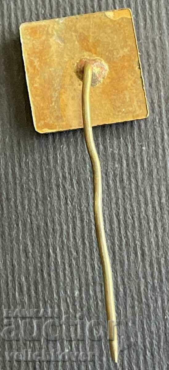 36437 Bulgaria sign Sign for foreigners with the map of Bulgaria with price 3.00 BGN | € 1.53 36437 Bulgaria sign Sign for foreigners with the map of Bulgaria with price 3.00 BGN | € 1.53