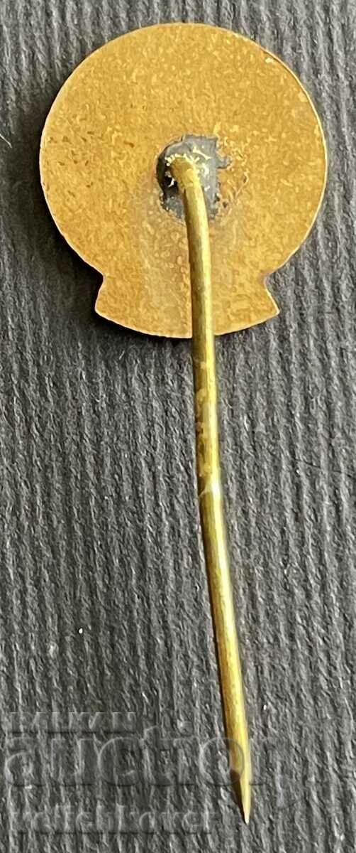 36449 Bulgaria tourist sign BTS Bulgarian tourist with price 3.00 BGN | € 1.53 36449 Bulgaria tourist sign BTS Bulgarian tourist with price 3.00 BGN | € 1.53