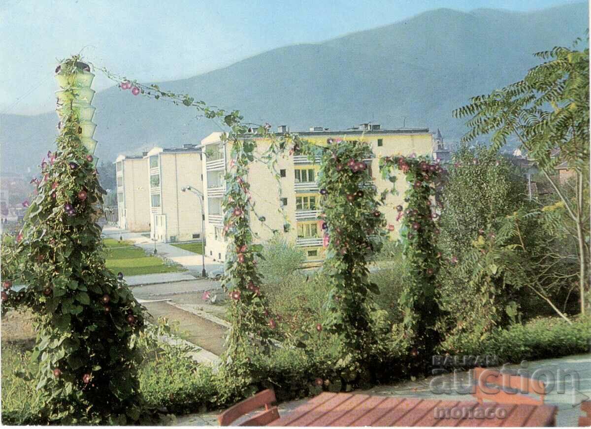 Old postcard - Berkovitsa, View