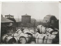 България Стара снимка фотография на склад за бъчви, бурета.