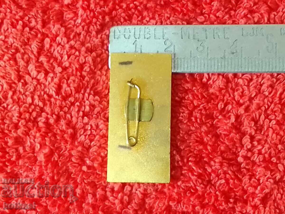 Old metal massive social badge DKMS 13 Congress with price 21.00 BGN | € 10.74 Old metal massive social badge DKMS 13 Congress with price 21.00 BGN | € 10.74