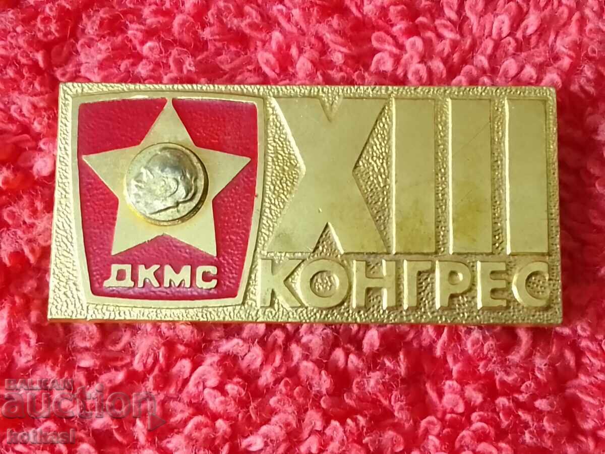 Delivery of Old metal massive social badge DKMS 13 Congress Delivery of Old metal massive social badge DKMS 13 Congress