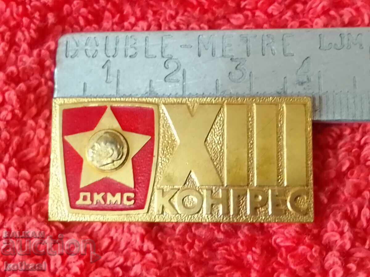 Old metal massive social badge DKMS 13 Congress Old metal massive social badge DKMS 13 Congress