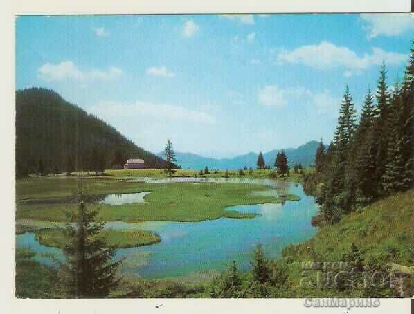 Κάρτα Bulgaria Smolyan Smolyan Lakes 1*