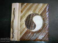 old photo album - lined with snake skin