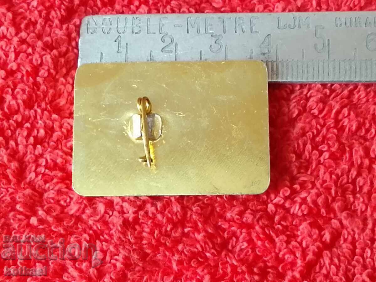 Old social metal badge VNVAU G. DIMITROV Shumen with price 21.00 BGN | € 10.74