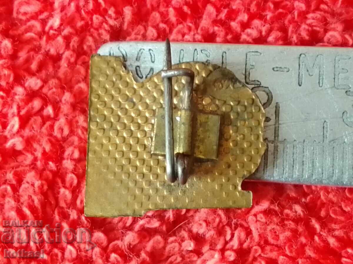 Old metal badge MARITSA EAST TPP - 2 with price 5.50 BGN | € 2.81 Old metal badge MARITSA EAST TPP - 2 with price 5.50 BGN | € 2.81