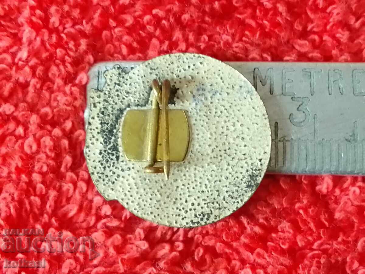 Old social badge DM 20 YEARS RUDNIK TROJANOVO -1 with price 10.50 BGN | € 5.37 Old social badge DM 20 YEARS RUDNIK TROJANOVO -1 with price 10.50 BGN | € 5.37