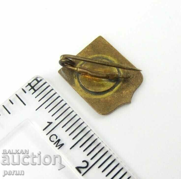 OLD BADGE-NICE,FRANCE-COAT OF COAT-TOP ENAMEL - 5 OLD BADGE-NICE,FRANCE-COAT OF COAT-TOP ENAMEL - 5