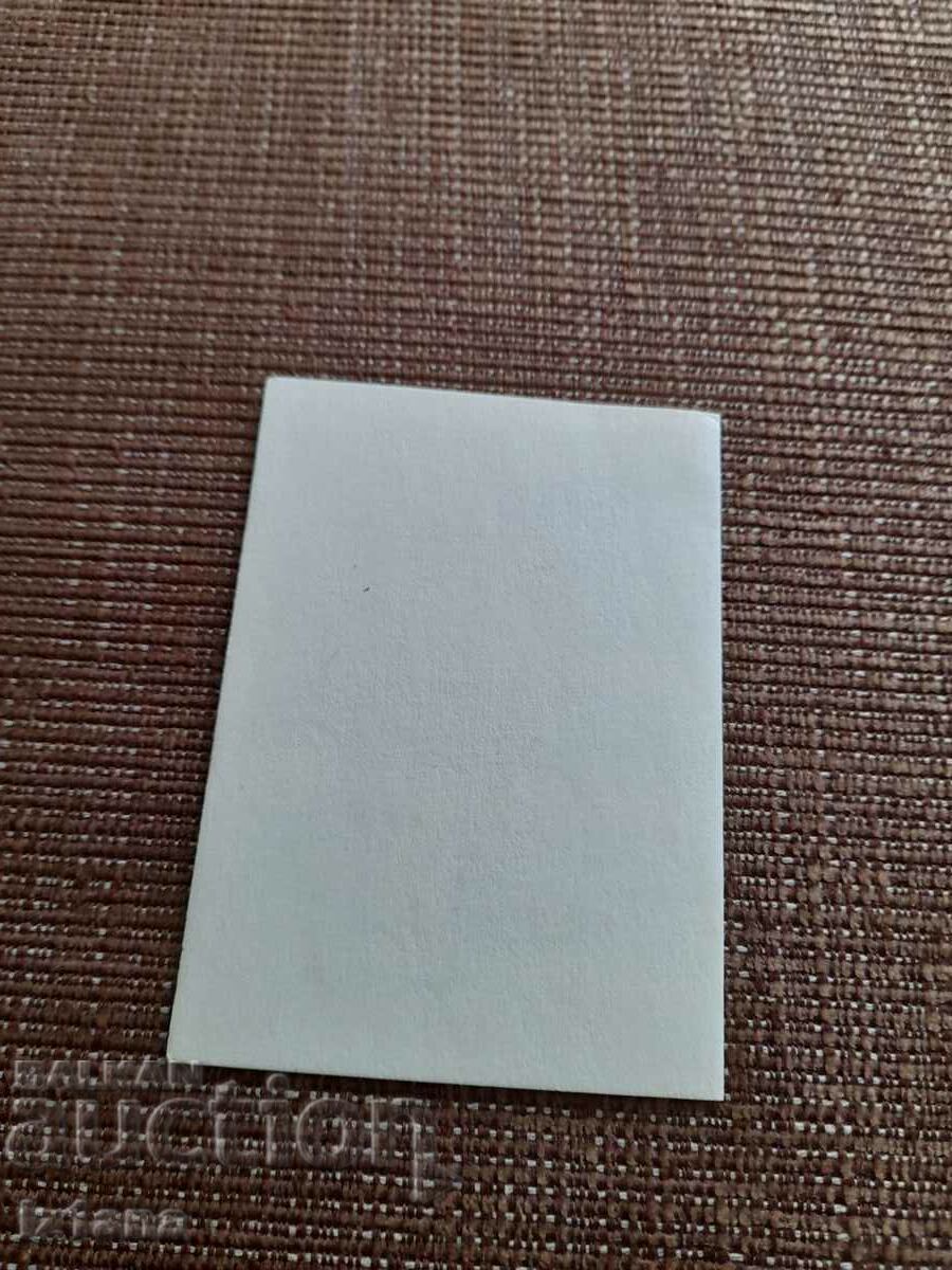 Auction Old Membership Card Cinema Club Banner of Peace Auction Old Membership Card Cinema Club Banner of Peace