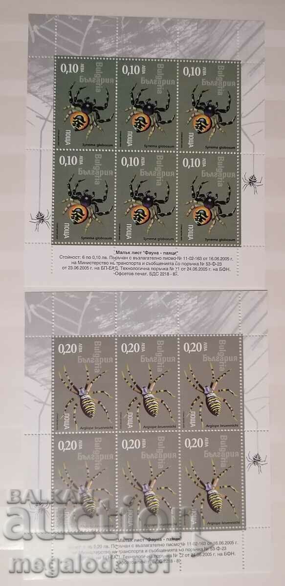 Bulgaria - spiders, small leaves Bulgaria - spiders, small leaves