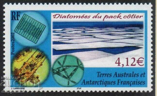 2002 pr. Sud. și Antarctica. Teritoriile. Diatomee - alge.