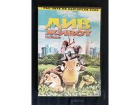 Children's DVD movie - Wild Life
