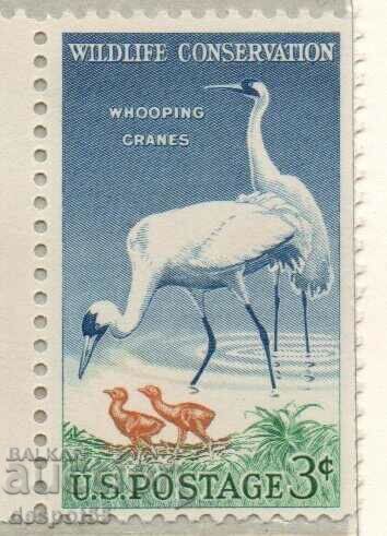 1957. USA. Wildlife Conservation - Whooping Crane.