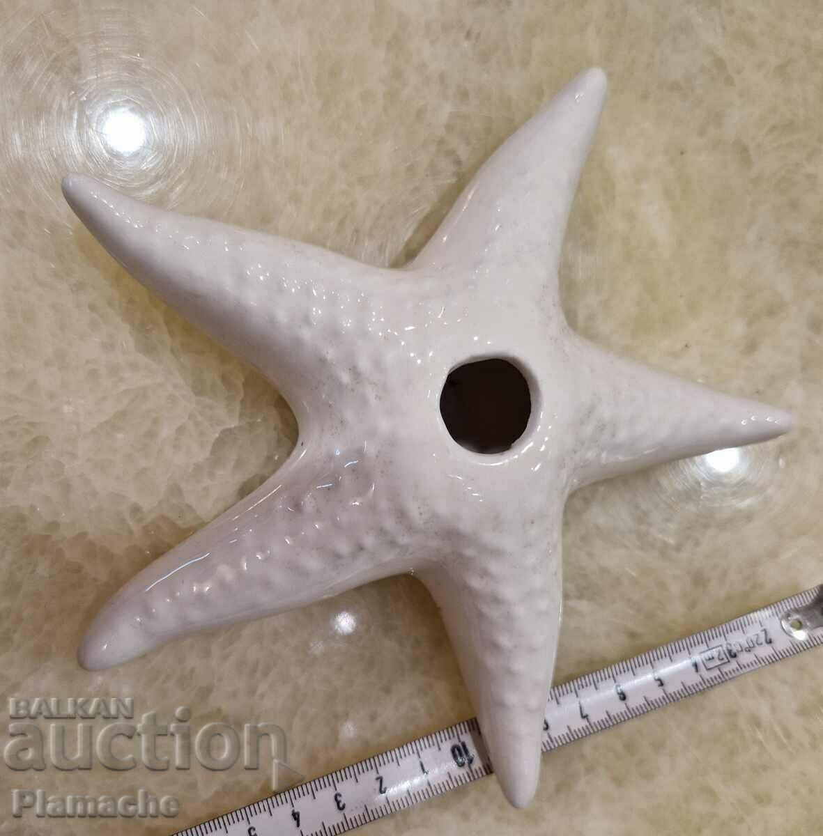 Porcelain starfish