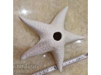 Porcelain starfish