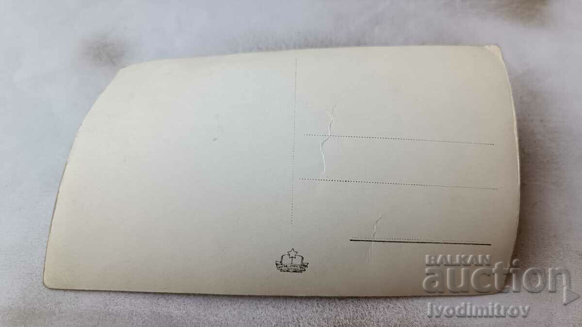 Postcard Narechenski baths General view with price 1.45 BGN | € 0.74