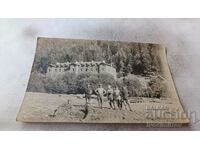 Снимка Мъже пред дървени трупи в планината
