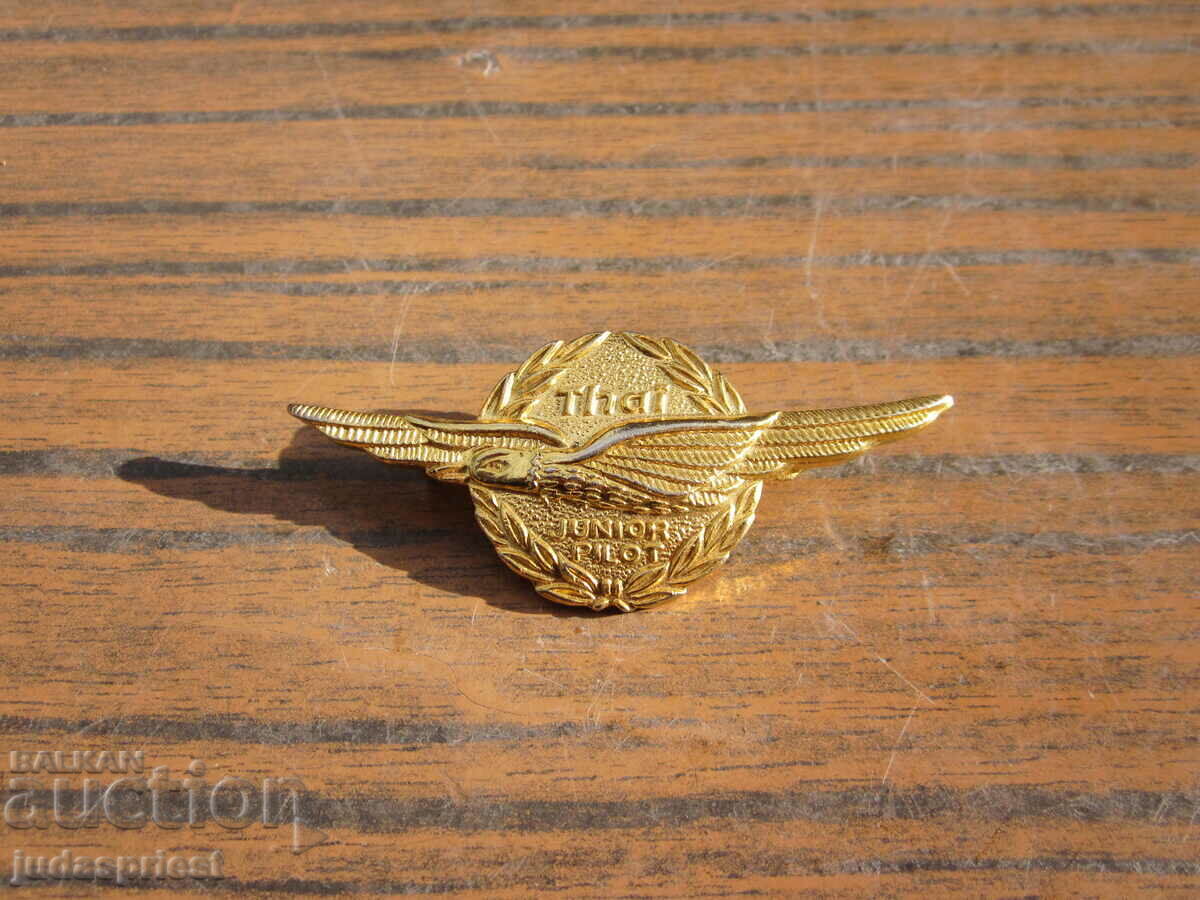 pilot badge pilot badge young pilot civil aviation with price 25.00 BGN | € 12.78 pilot badge pilot badge young pilot civil aviation with price 25.00 BGN | € 12.78