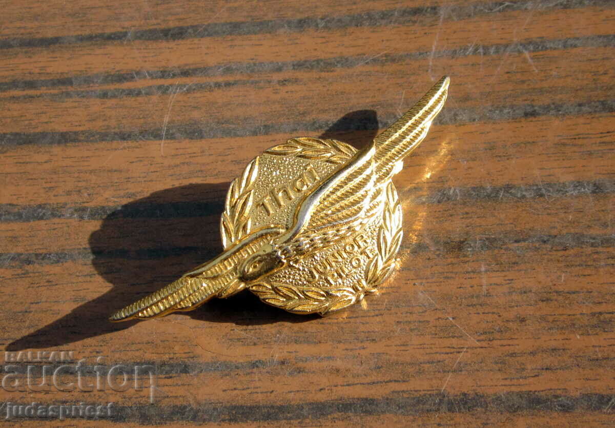 Auction pilot badge pilot badge young pilot civil aviation Auction pilot badge pilot badge young pilot civil aviation