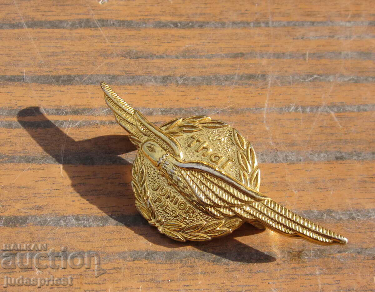 Delivery of pilot badge pilot badge young pilot civil aviation Delivery of pilot badge pilot badge young pilot civil aviation