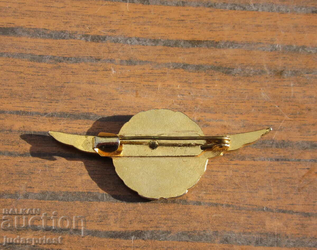 pilot badge pilot badge young pilot civil aviation - 5 pilot badge pilot badge young pilot civil aviation - 5