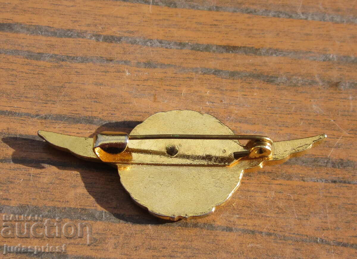 pilot badge pilot badge young pilot civil aviation - 6 pilot badge pilot badge young pilot civil aviation - 6