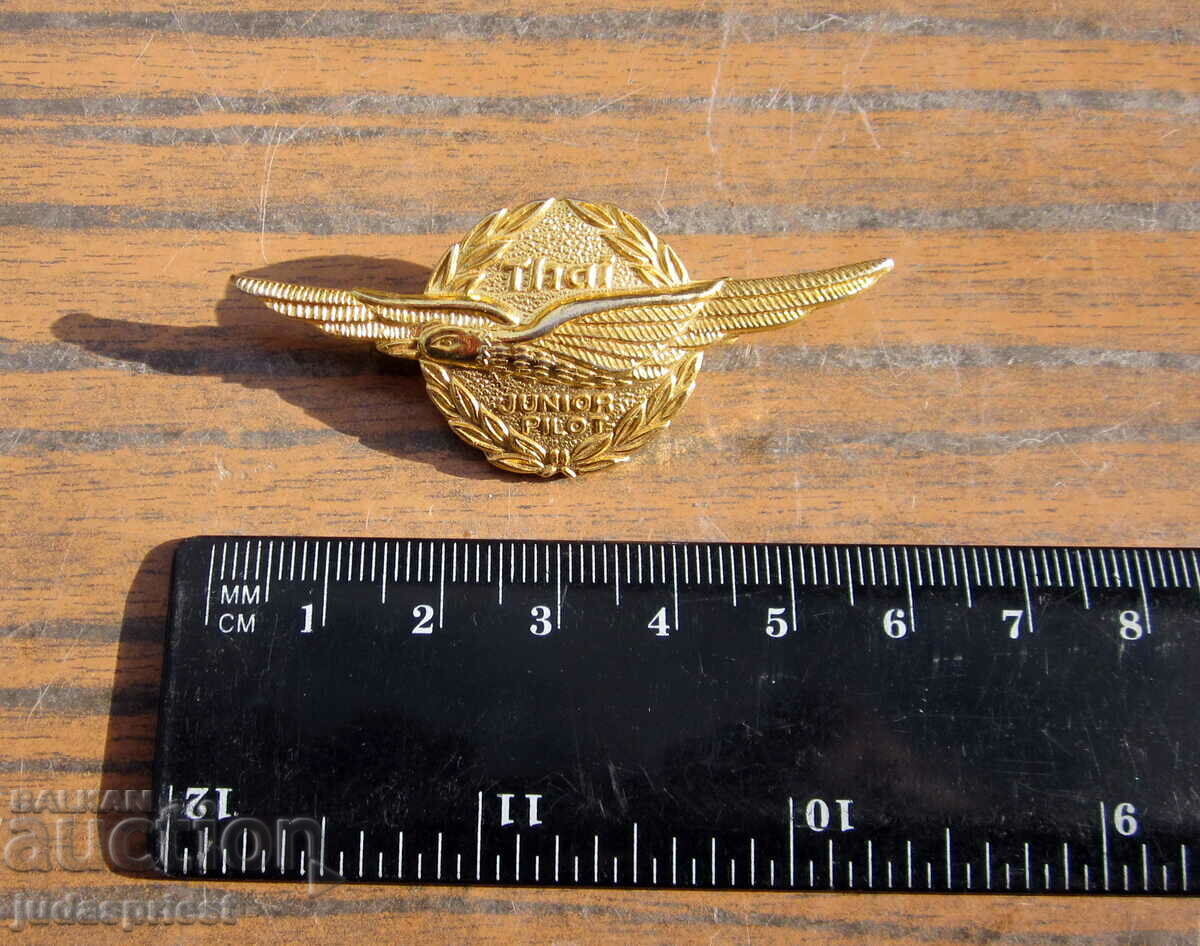 pilot badge pilot badge young pilot civil aviation - 7 pilot badge pilot badge young pilot civil aviation - 7