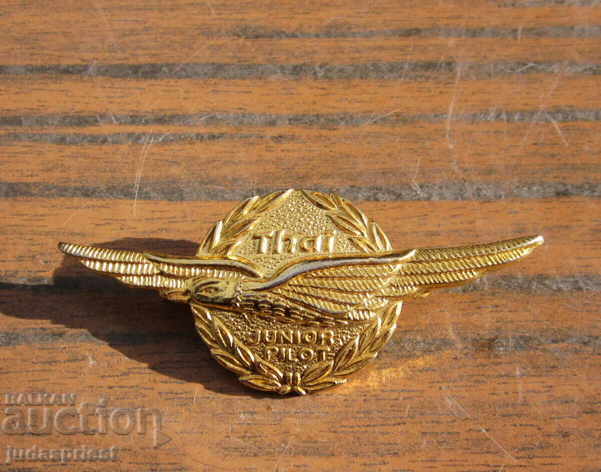 pilot badge pilot badge young pilot civil aviation