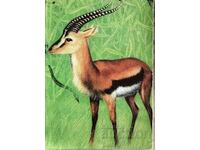 Bulgaria Calendar 1979 Antelope