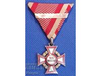 Ασημένιο παράσημο (μετάλλιο) "For Merit" με ασημένια κορδέλα (βραβείο)