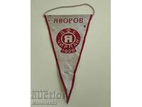 Флагче ДФС Чирпан 1929