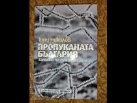Cracked Bulgaria - Tony Nikolov