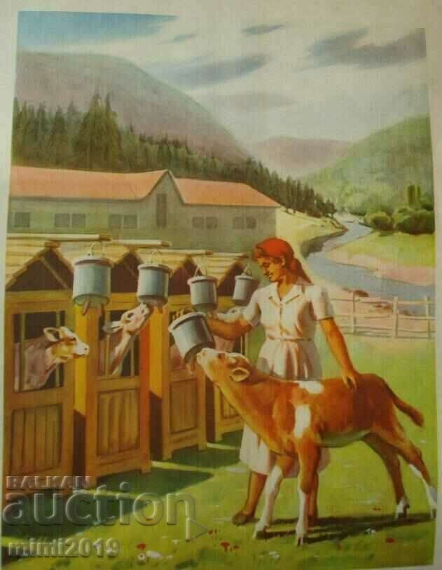 Delivery of 1950s Socialist Propaganda Color Poster Delivery of 1950s Socialist Propaganda Color Poster