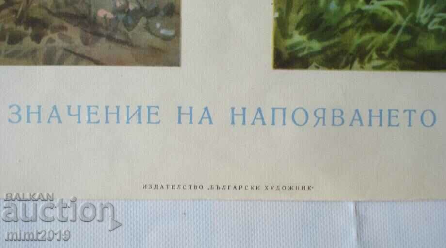 1950s Socialist Propaganda Color Poster with price 125.00 BGN | € 63.91 1950s Socialist Propaganda Color Poster with price 125.00 BGN | € 63.91