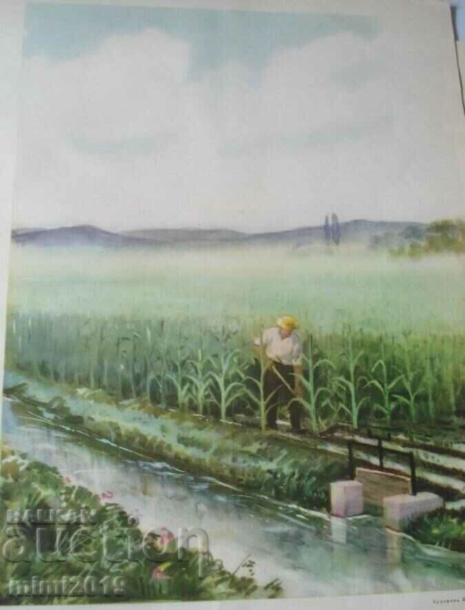 Auction 1950s Socialist Propaganda Color Poster Auction 1950s Socialist Propaganda Color Poster