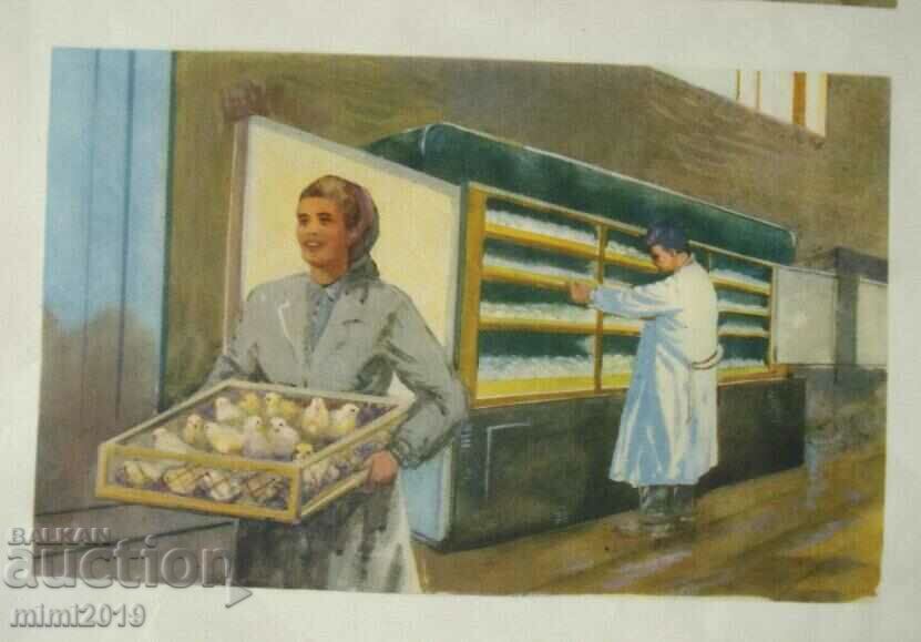 Delivery of 1950s Socialist Propaganda Color Poster Delivery of 1950s Socialist Propaganda Color Poster