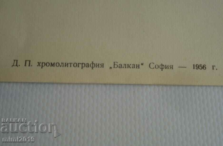 1950s Socialist Propaganda Color Poster - 6