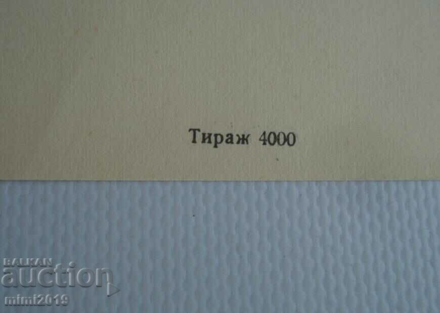 1950s Socialist Propaganda Color Poster - 7