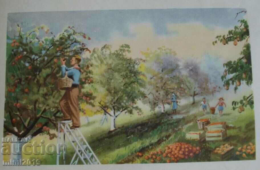 Delivery of 1950s Socialist Propaganda Color Poster Delivery of 1950s Socialist Propaganda Color Poster