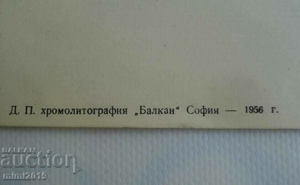 1950s Socialist Propaganda Color Poster - 5 1950s Socialist Propaganda Color Poster - 5