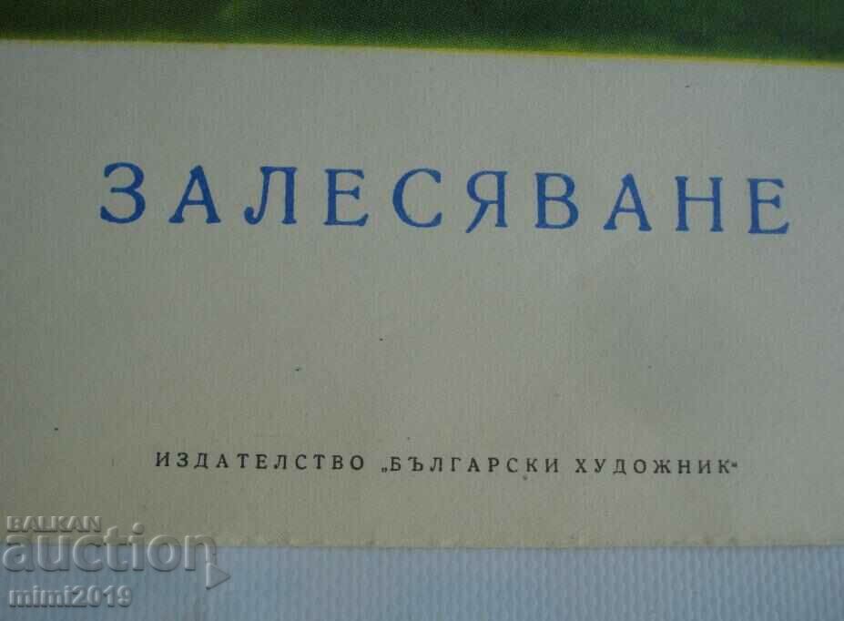 Poster color de propagandă socialistă din anii 1950 cu preț 30.00 BGN | € 15.34