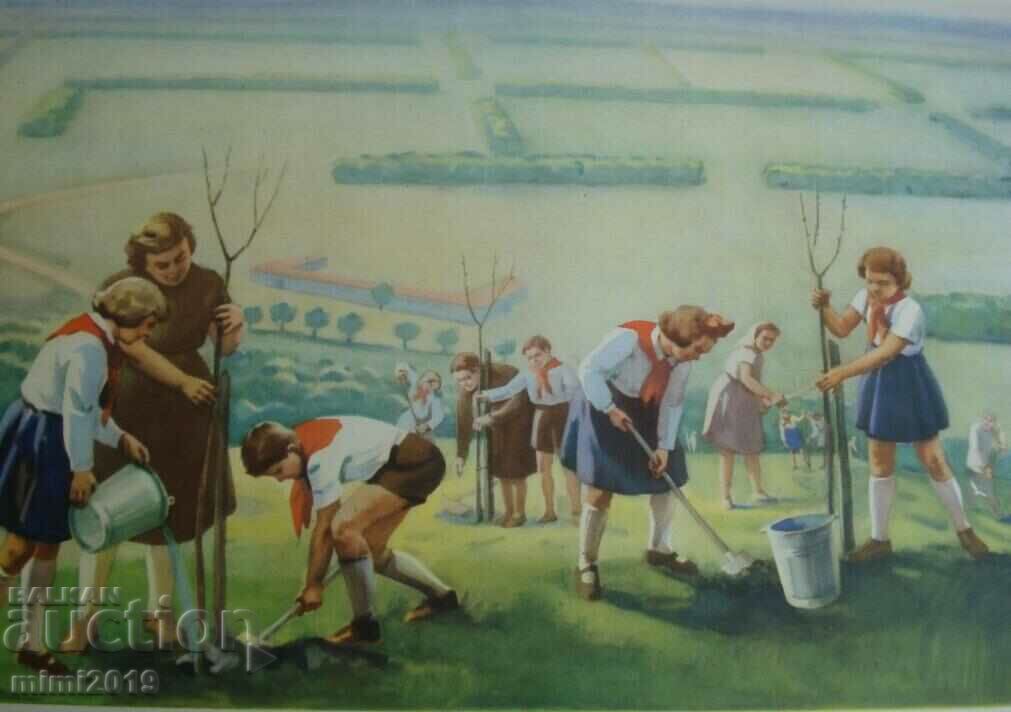 Licitație Poster color de propagandă socialistă din anii 1950