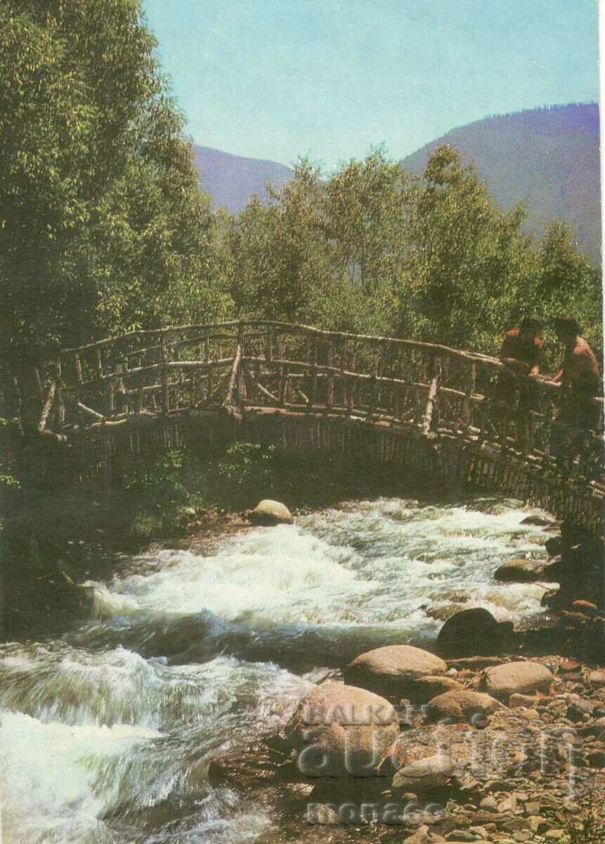 Стара картичка - Станке Димитров,  Мостът към парк "Рила"